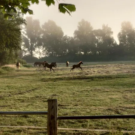 Kleenes Haffhus Apartmán Ueckermünde