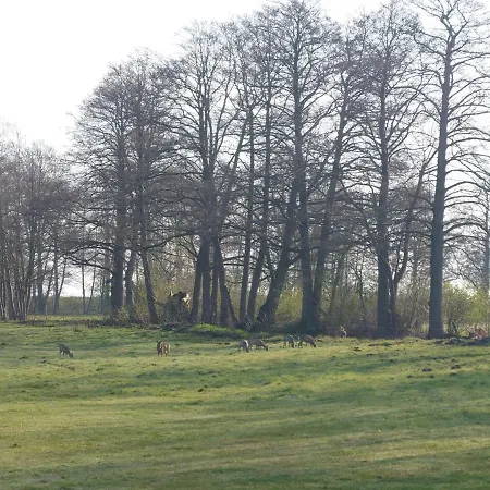 Apartment Kleenes Haffhus